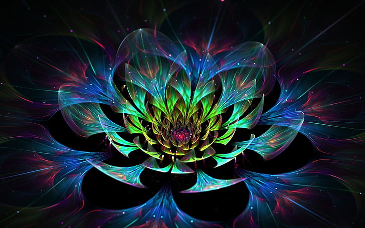 Tropical Mandala, art, lotus, flower, lotus petals Free HD Wallpaper