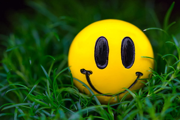 All Emoji Faces, day, flowering plant, animal representation, closeup Free HD Wallpaper