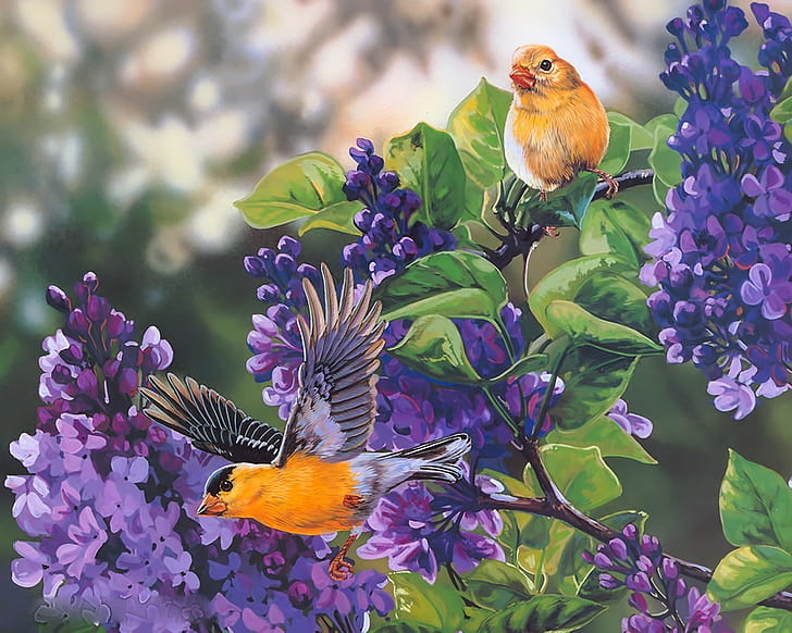 Bird Paradise Flower Painting, art, HD, flowers, free Free HD Wallpaper