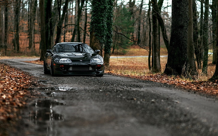 Car On Road Side View, the way forward, outdoors, trunk, tree trunk