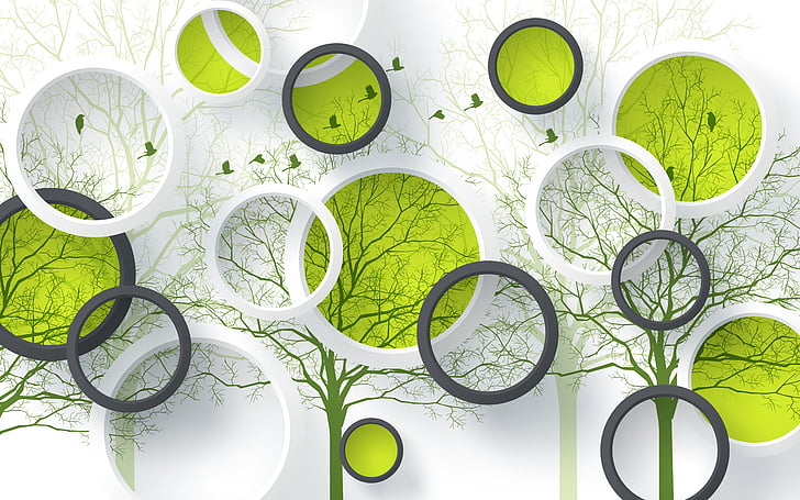 Green and White Color, design, circles, wall, birds Free HD Wallpaper
