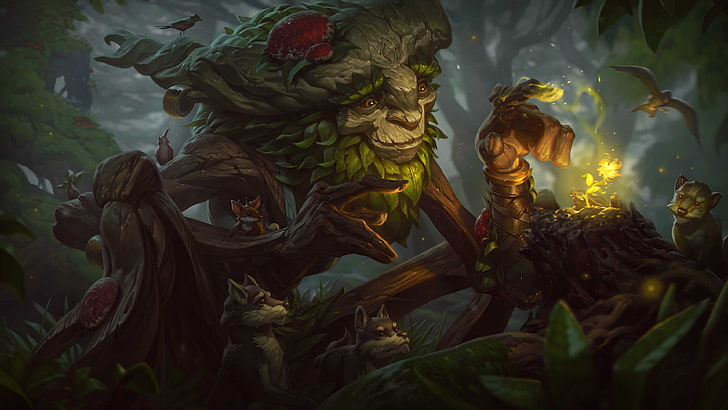 Ivern Fan Art, selective focus, flower, plant, flowering plant Free HD Wallpaper