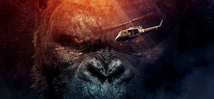 King Kong Cast, king kong, kong skull island Free HD Wallpaper