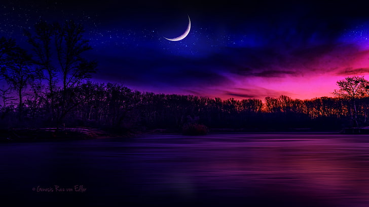 Moon Vector, lake, astronomy, star  space, plant Free HD Wallpaper