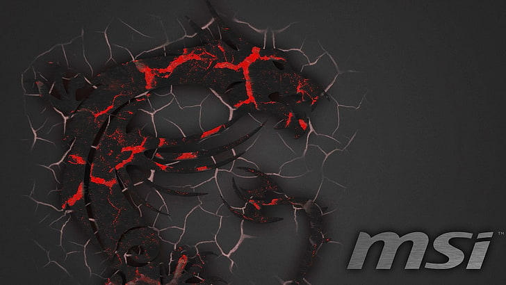 MSI HD Widescreen, black background, plant, branch, dragon Free HD Wallpaper