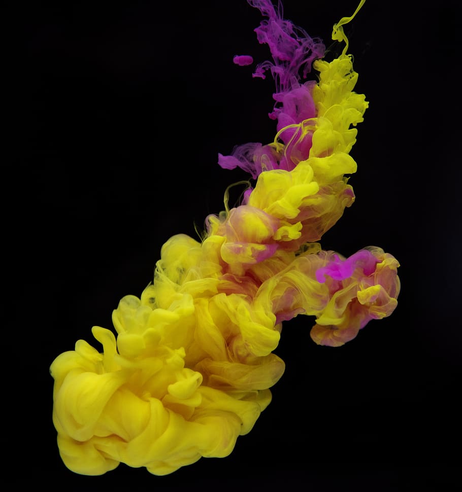 Purple Green and Yellow, indoors, photograph, yellow, vibrant