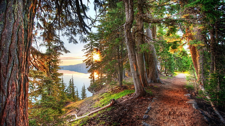 Summer Crater Lake Oregon, the way forward, direction, sky, hdr Free HD Wallpaper