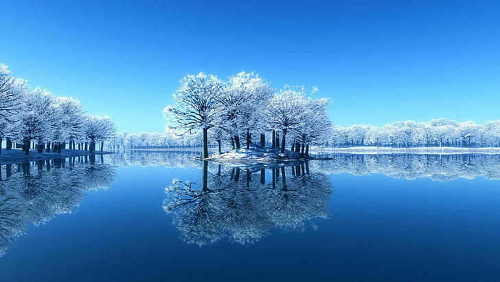 Beautiful Winter Scenes, winter, 2560x1440, static Free HD Wallpaper