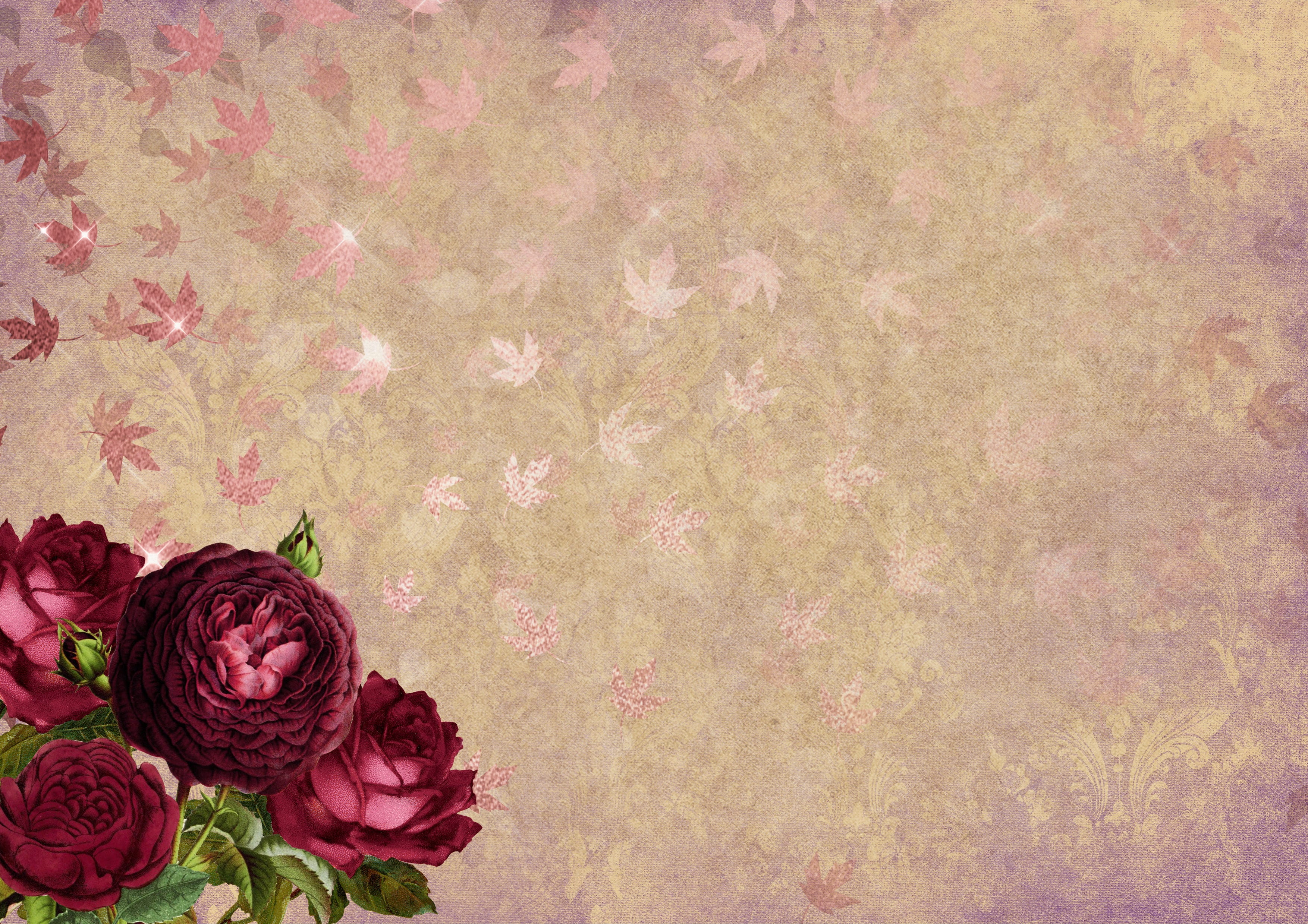 Color Rose Gold Flower, pattern, nature, texture, love