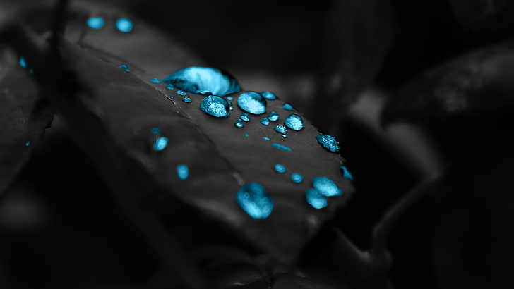 Cool Water Drops, graphic, clear, liquid, closeup