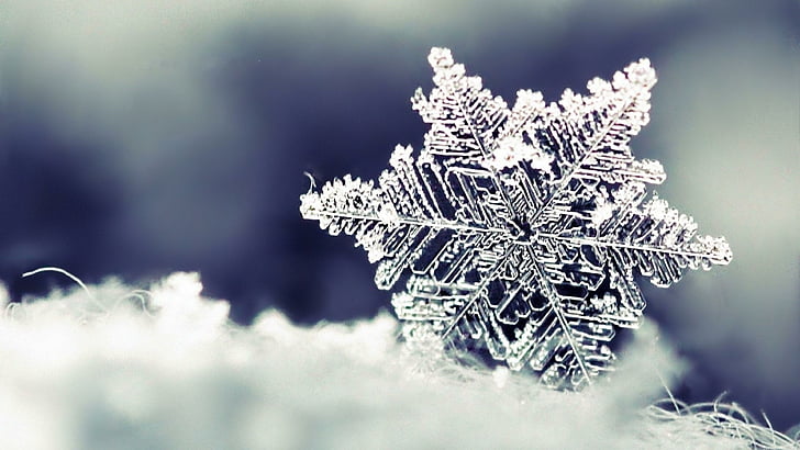 Cute Winter Sayings, snow, macro, frost, freezing Free HD Wallpaper