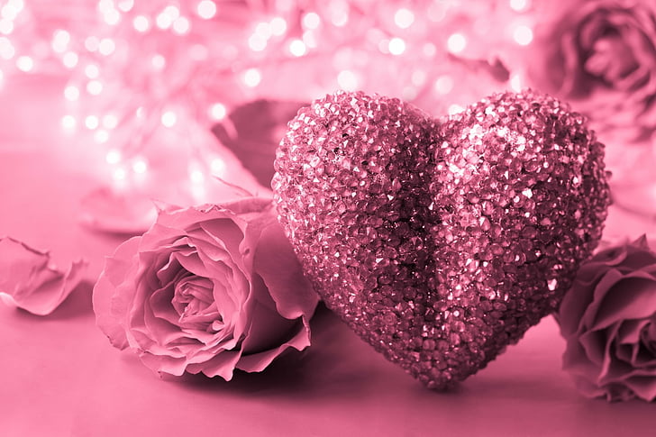 Dark Pink Crystal, flower head, pink, romantic, plant