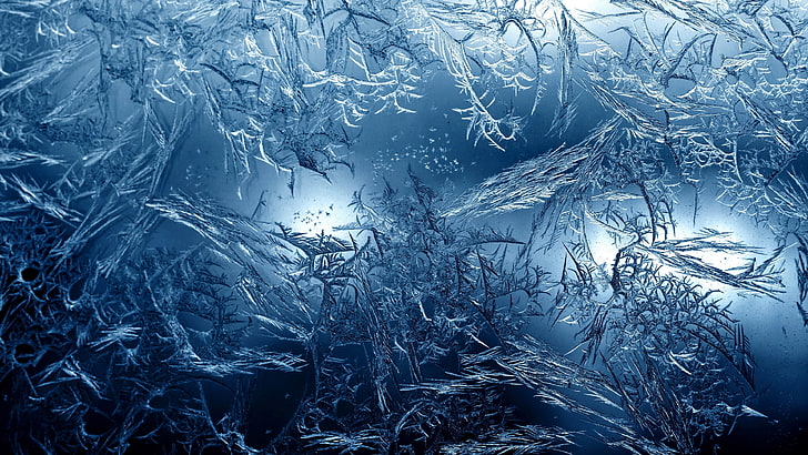 Frosted Glass Film, plant, icicle, beauty in nature, nature