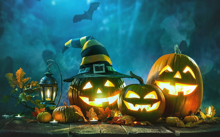 Halloween Party Pumpkin, pumpkin, halloween Free HD Wallpaper
