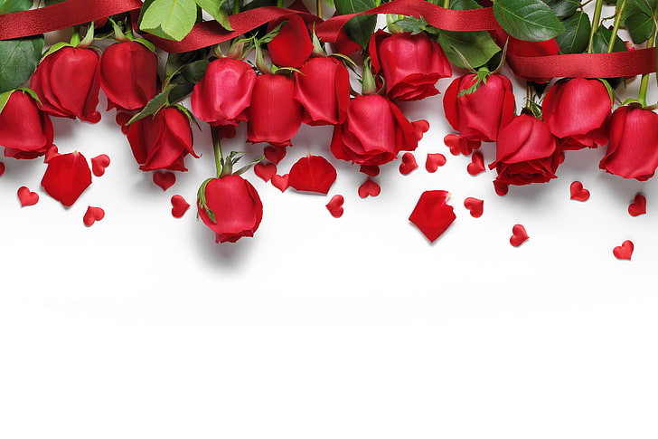 Heart Box Roses, gift, valentines day, red, roses Free HD Wallpaper