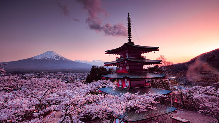 Japanese, mount fuji, belief, winter, outdoors Free HD Wallpaper