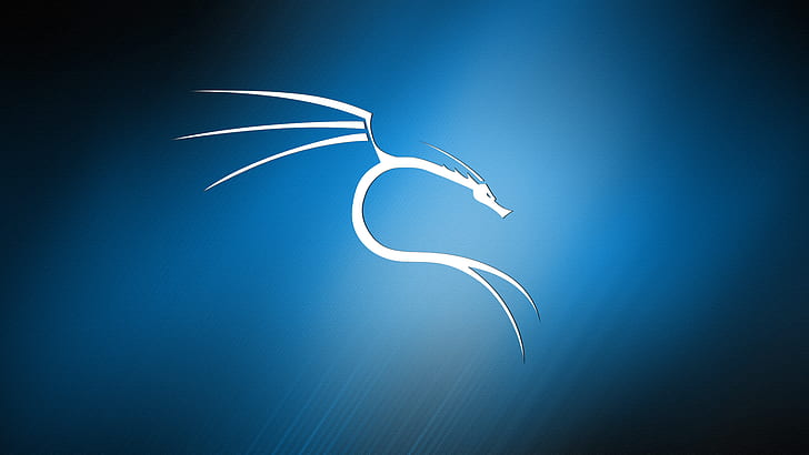 Kali Linux, dragon, kali linux, blue background, linux