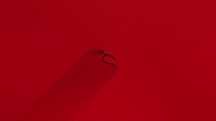 Kali Linux, shadow, colored background, copy space, heart shape Free HD Wallpaper