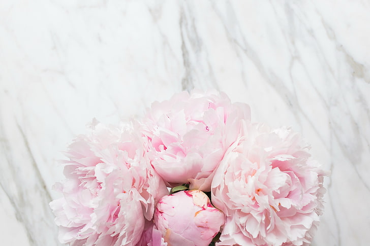 Marble Pink Computer, bouquet, peonies, flowers, marble Free HD Wallpaper