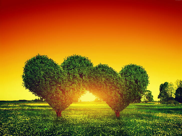 Paisajes Hermosos De Amor, love image, heart, tree Free HD Wallpaper