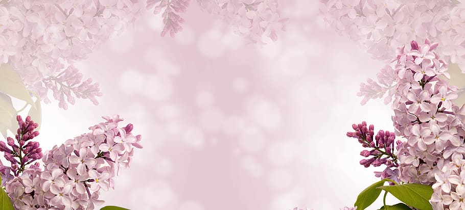 Pastel Flower Pattern, romance, your text, softness, branch Free HD Wallpaper