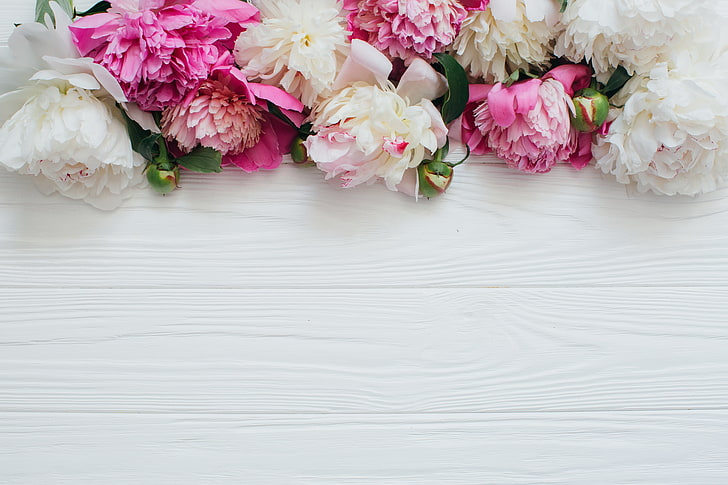 Pink Peonies Flowers, wedding, rose  flower, vulnerability, love Free HD Wallpaper