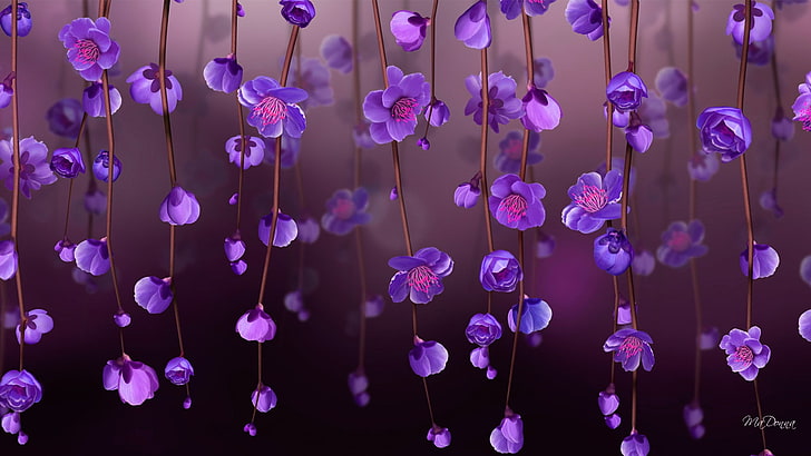 Purple Perennials, pink color, abstract, growth, plant Free HD Wallpaper