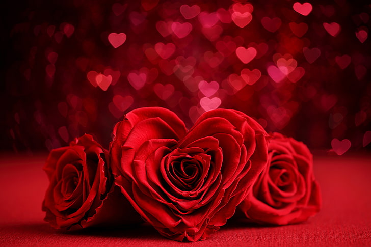 Romantic Red Roses and Hearts, flower, heartshaped, day, valentines Free HD Wallpaper