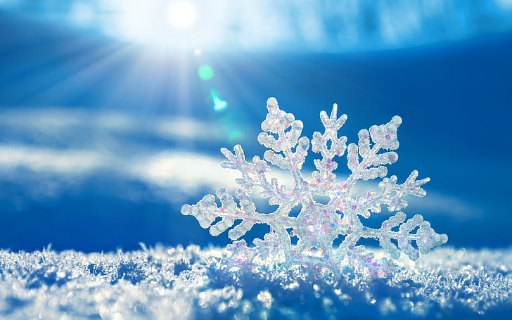 Snowflake Texture, snowflake, no people, frozen, frost