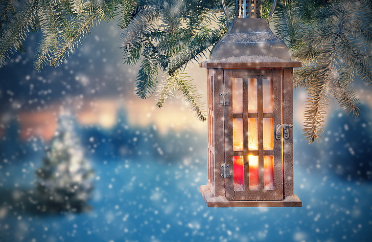 Snowy Christmas Lights, cultures, defocused, spruce tree, lighting equipment Free HD Wallpaper