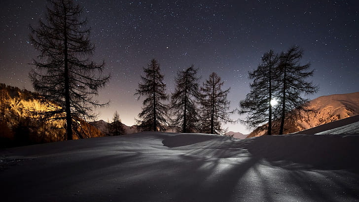 Snowy Night Landscape, winter 4k pc desktop Free HD Wallpaper