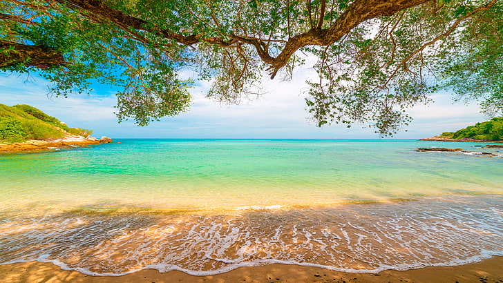 Tropical Beach Sunrise Hawaii, scenics  nature, seascape, bay, outdoors Free HD Wallpaper