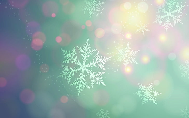 Twitter Snowflake, holiday  event, illuminated, bright, celebration Free HD Wallpaper