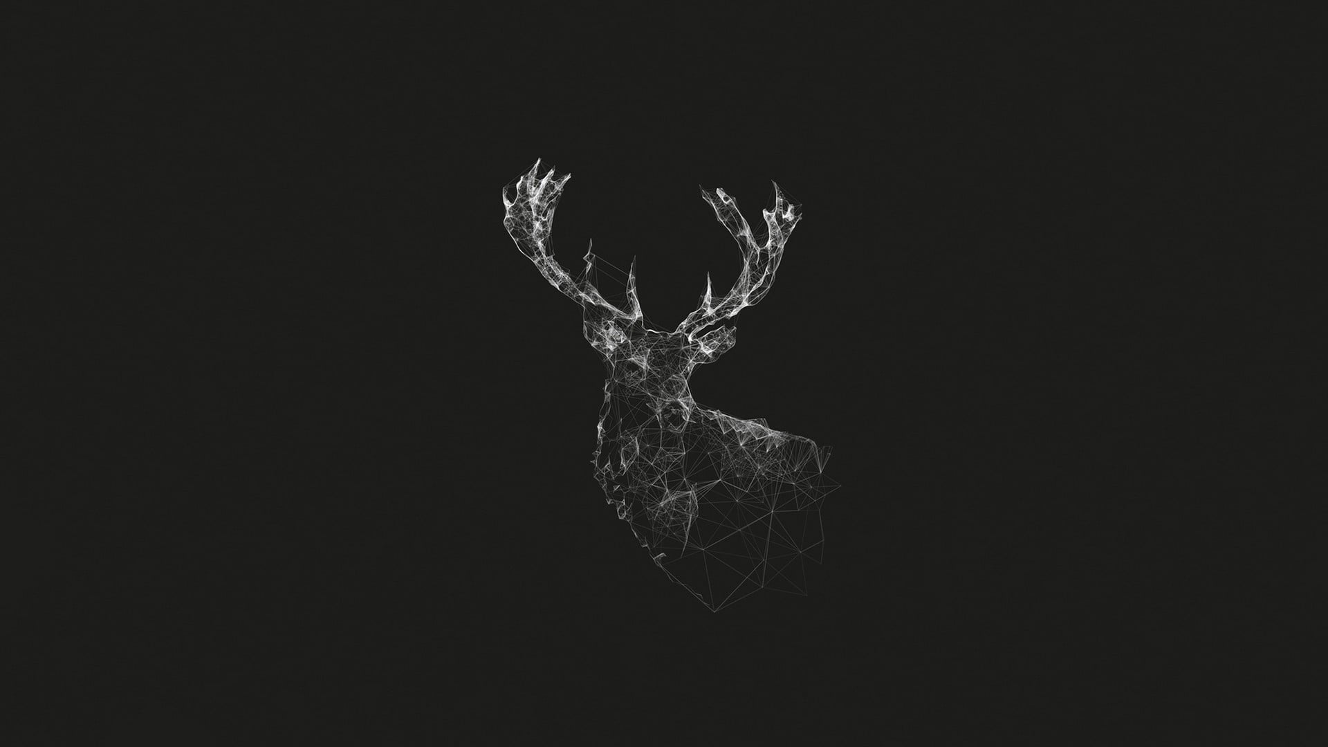 Winter Deer, contemplation, one animal, sign, black background
