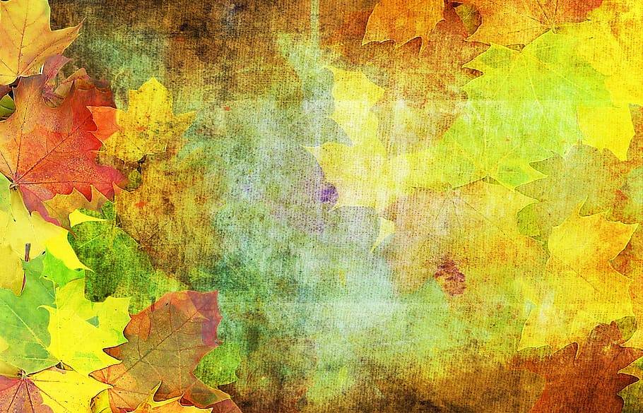 Beautiful Autumn Leaf, deterioration, golden autumn, painted image, textured effect Free HD Wallpaper