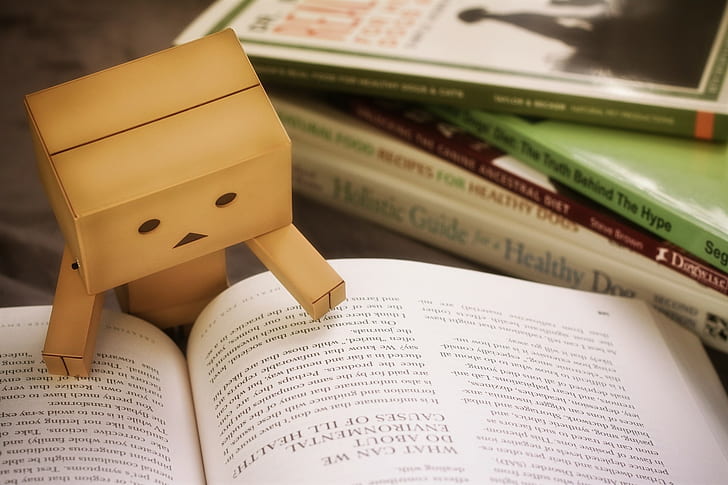 books, cardboard, danbo Free HD Wallpaper