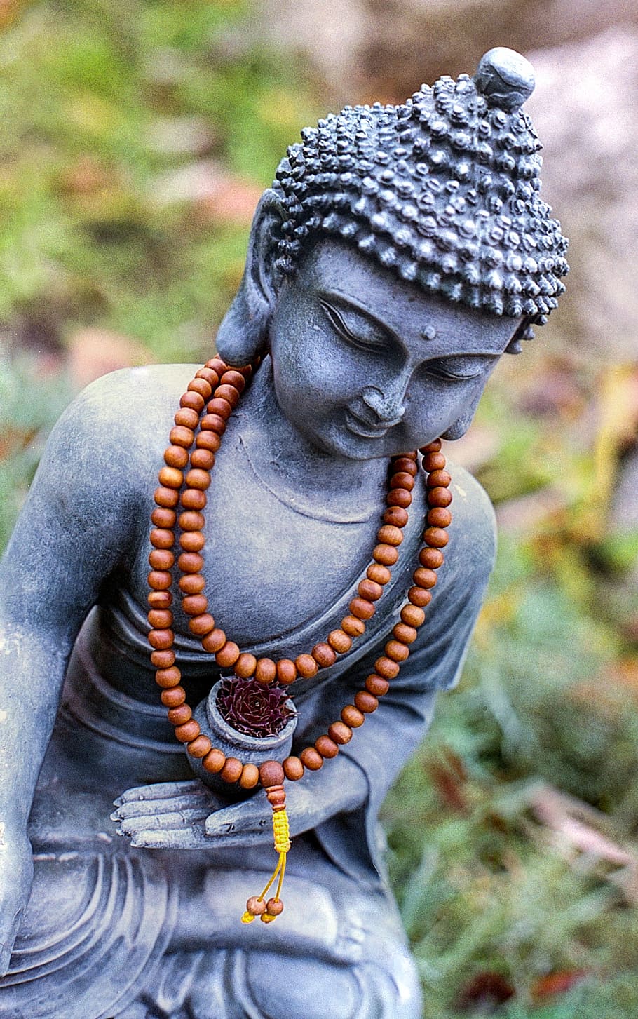 Buddha Blessed, nature, representation, closeup, praying