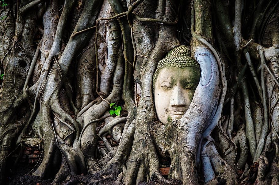 Buddhist, faith, thai, building, travel Free HD Wallpaper