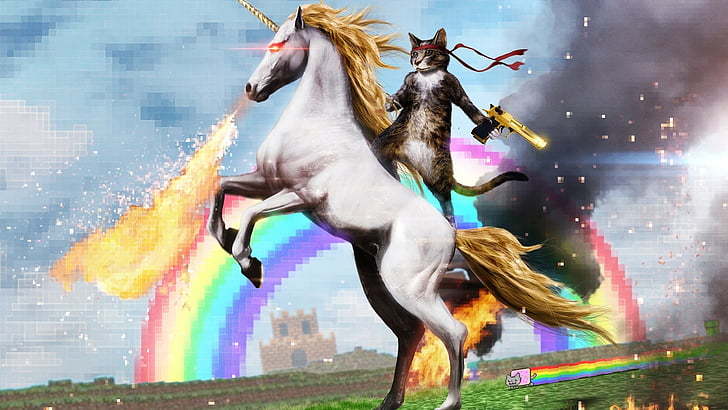 Cat Unicorn Llama, wtf, cats, sci fi, fantasy Free HD Wallpaper