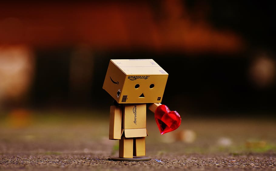 Danbo Rain, creativity, selective focus, representation, nature