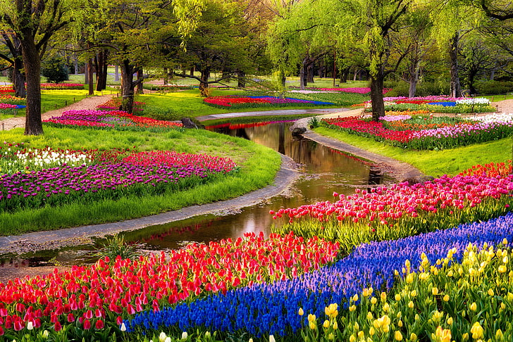 Flower Garden Rows, botany, landscaped, no people, vibrant color Free HD Wallpaper