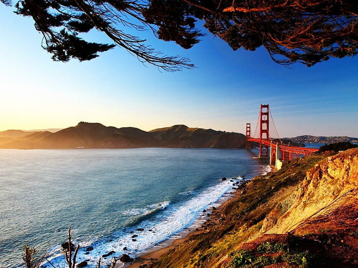 golden, bridge, nature, water