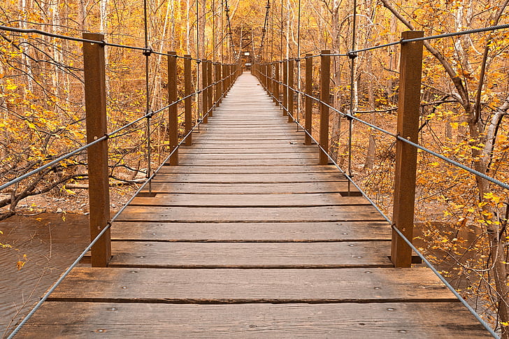 McKeldin Area Patapsco State Park, beautiful, trees, footpath, metal Free HD Wallpaper