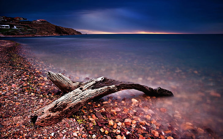 Mount Glacier National Park, water, scenics  nature, driftwood, coast Free HD Wallpaper