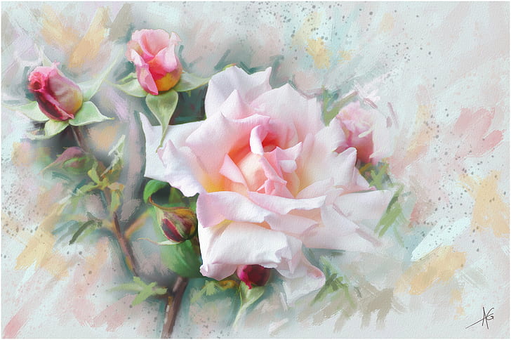 Painted Roses, rose, painting, flower, pink rose Free HD Wallpaper