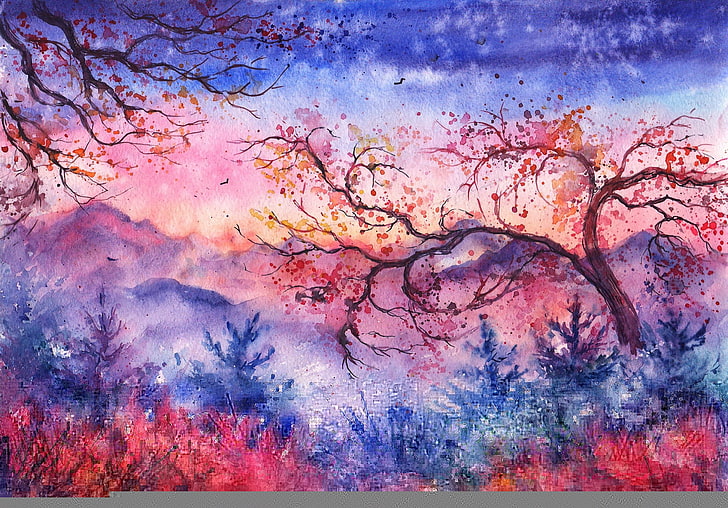 Pink Sunset, magenta, closeup, art product, holi Free HD Wallpaper