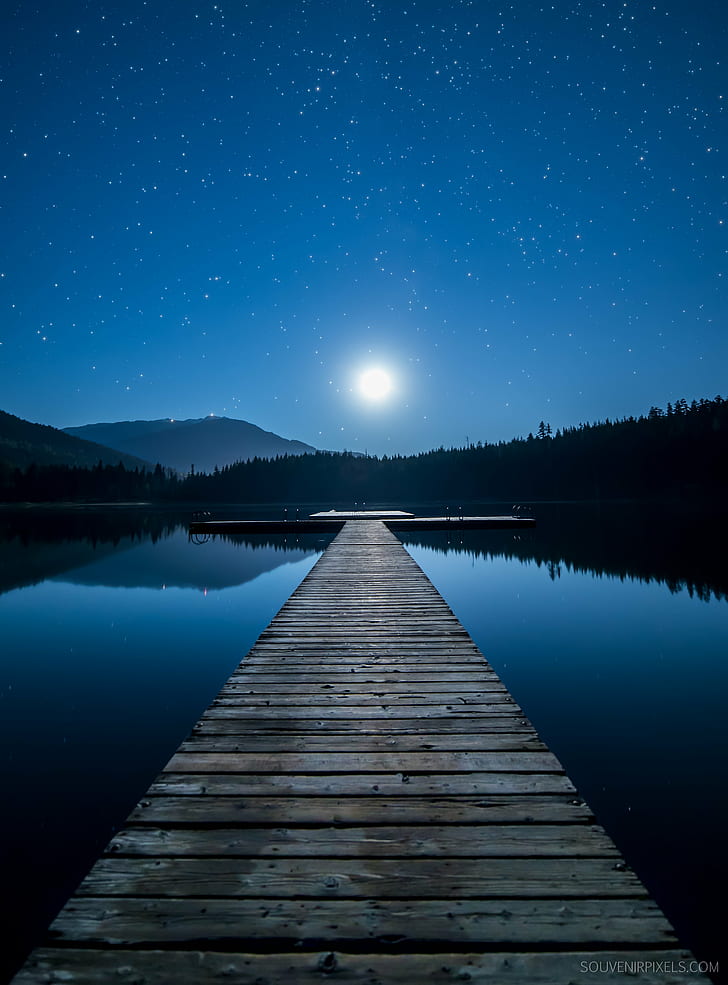 Small Lake at Night, starry, constellation, scene, forest Free HD Wallpaper