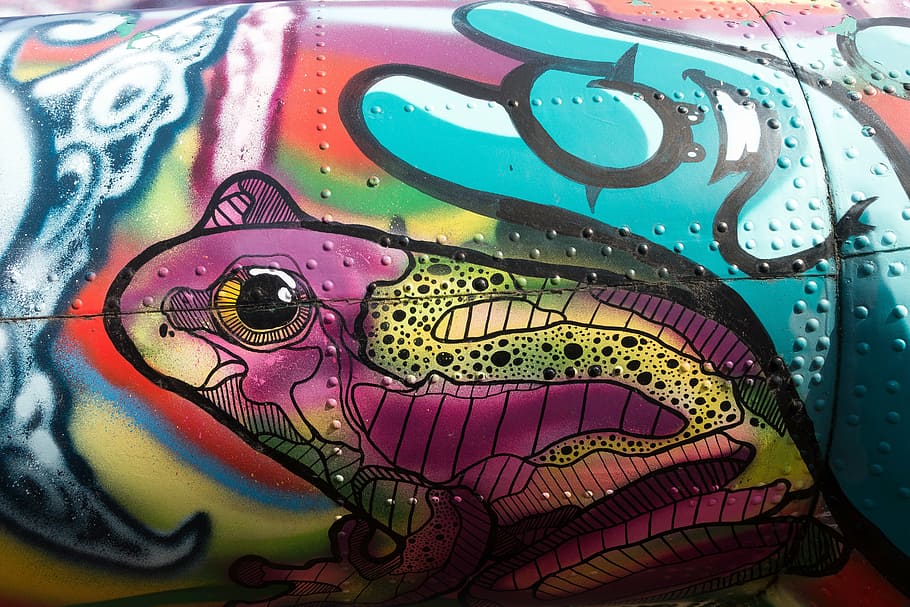 Swaggy Frog, spray, mural, pink color, fund