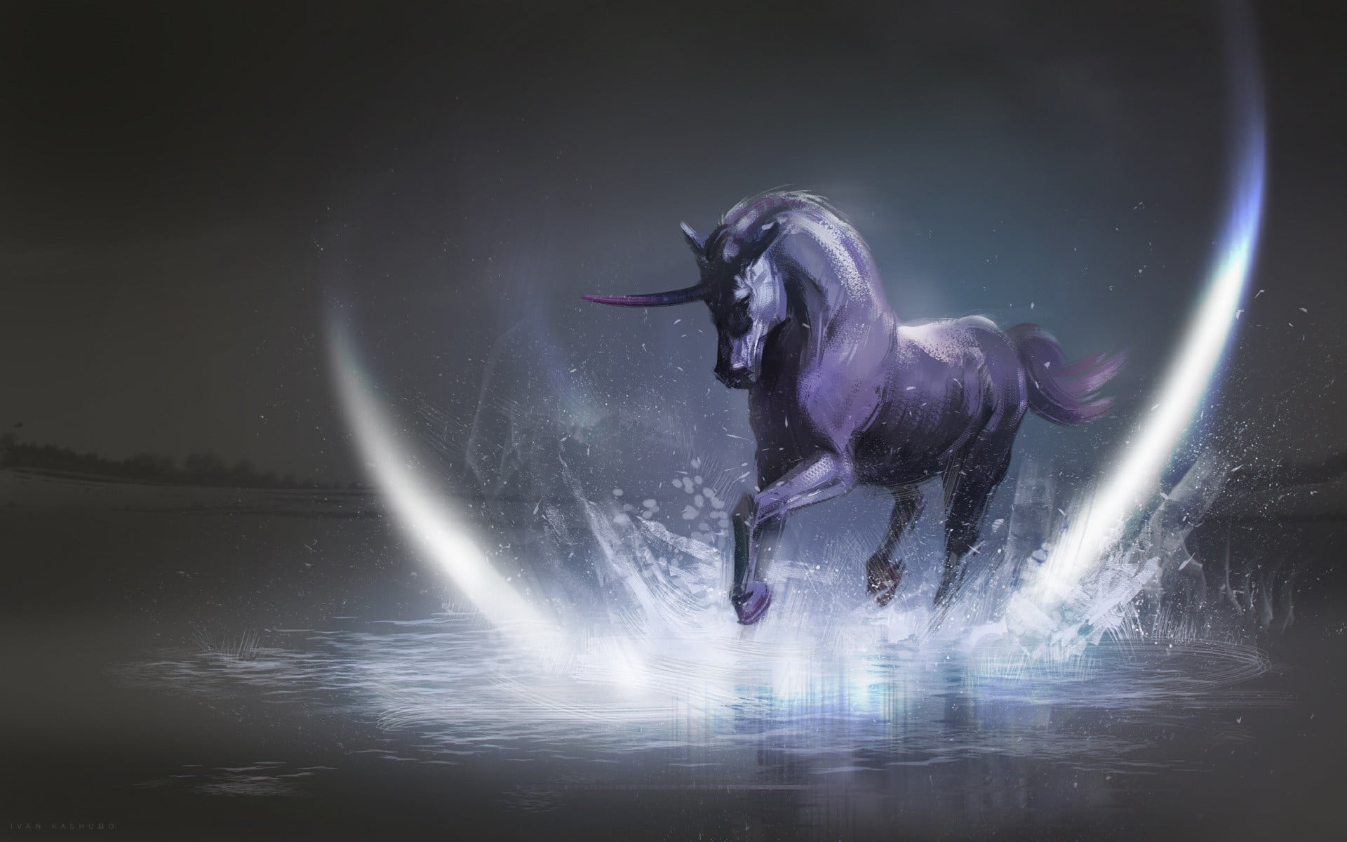 White Horse Unicorn, animal, pets, vertebrate, domestic animals