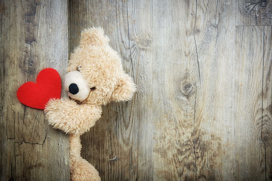 Amazing Animal Love, wall  building feature, invitation, teddy bear, wood  material Free HD Wallpaper